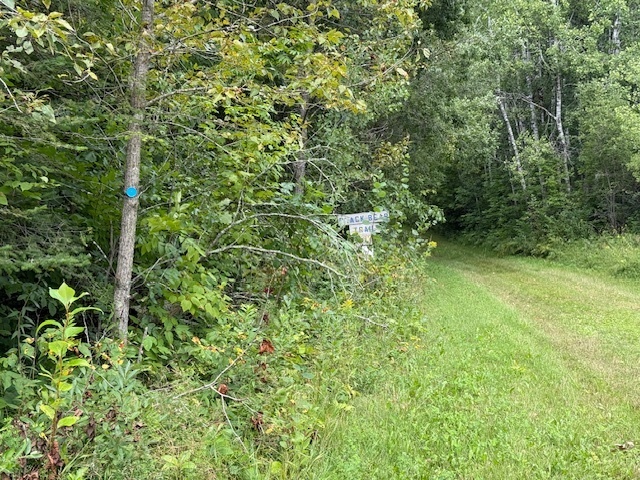 Image 3 for Exciting New Projects!