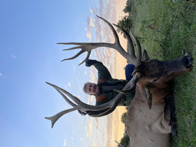 Image 1 for  Trophy Elk Hunt