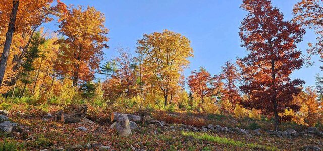 Image 4 for Twin Eagle Farmhouse/Wolfeboro NH