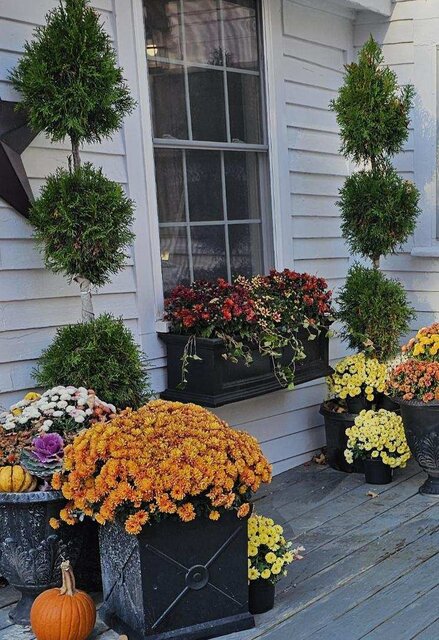 Image 2 for Twin Eagle Farmhouse/Wolfeboro NH