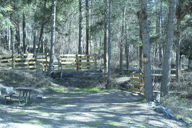 Image 2 for 36) Back-in Primative