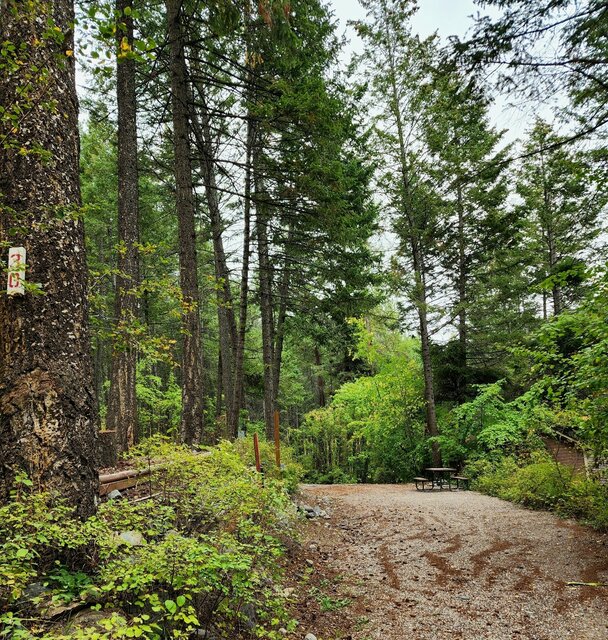 Image 1 for 30) Pull Through 20/30 Amp