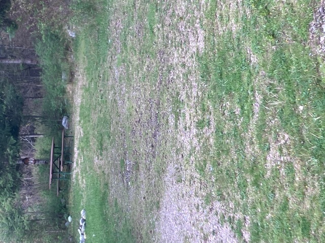 Image 2 for 50) Primitive site