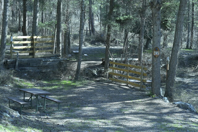 Image 1 for 36) Back-in Primative