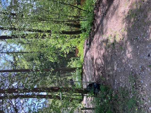 Image 3 for 01) 30/20amp Back-in