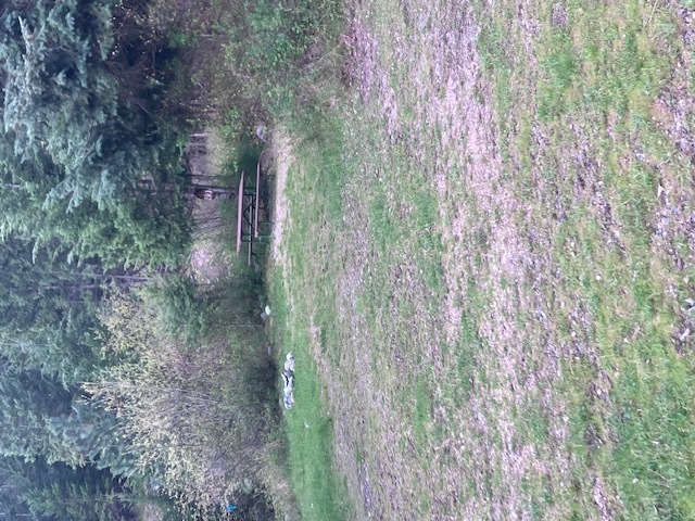 Image 1 for 50) Primitive site