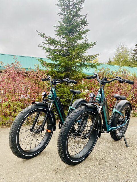 Image 1 for E-Bike Rental