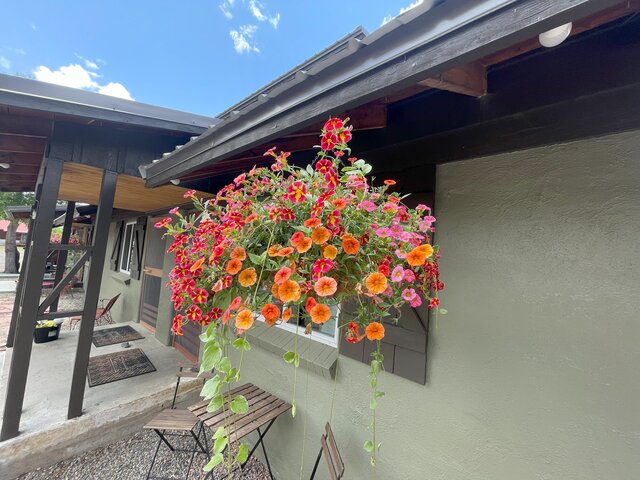 Image 4 for 04 Double Queen - Hotel Room