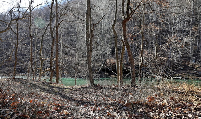 Image 12 for Cabin #7 ADA Compliant