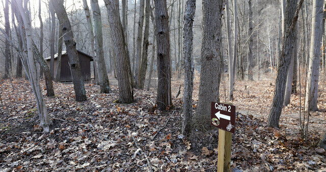 Image 4 for Cabin #2