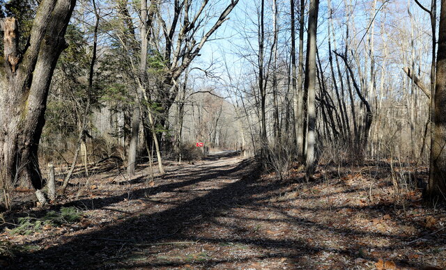 Image 4 for Cabin #5