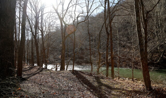 Image 13 for Cabin #7 ADA Compliant