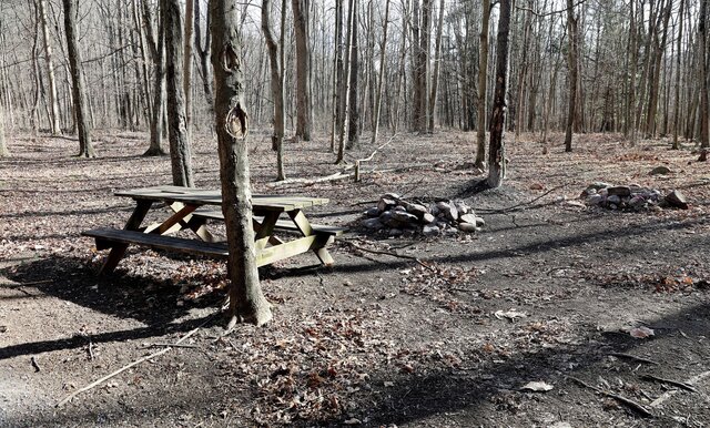 Image 4 for Cabin #9