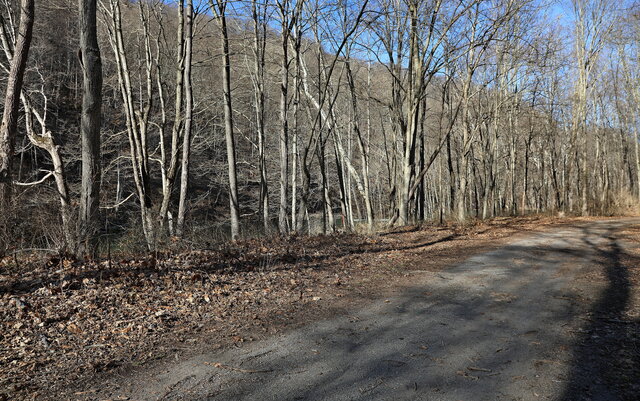 Image 14 for Cabin #7 ADA Compliant