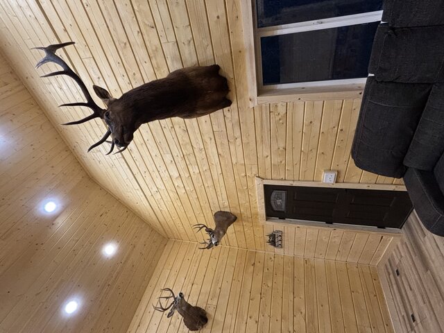 Image 9 for Salmonberry Chalet