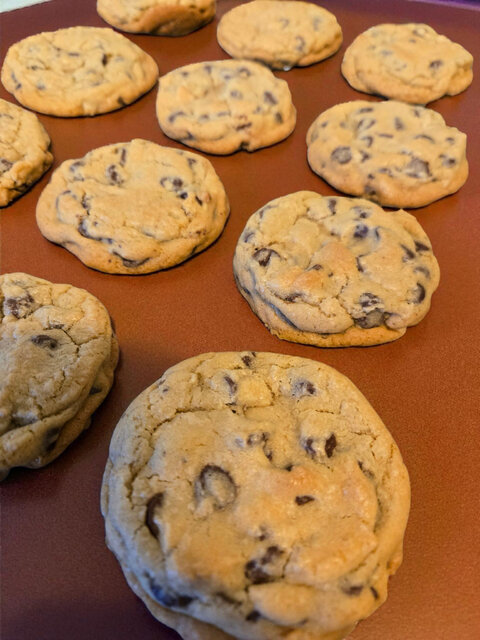 Image 1 for 8 Pack Jumbo Cookies