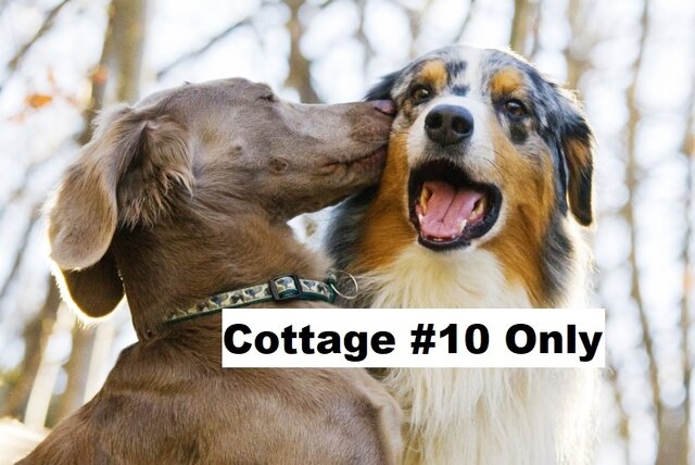Image 1 for Pet Fee-Cottage #10