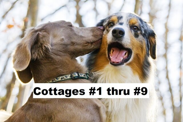 Image 1 for Pet Fee-Cottages #1 thru #9