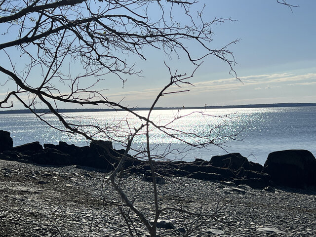 Image 13 for Oceanfront 23: 1st Flr (2 Queens + 1 Double)