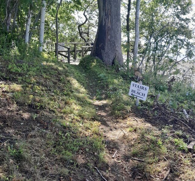 Image 18 for Oceanfront 24: 1st Flr (King + Double Sofa)