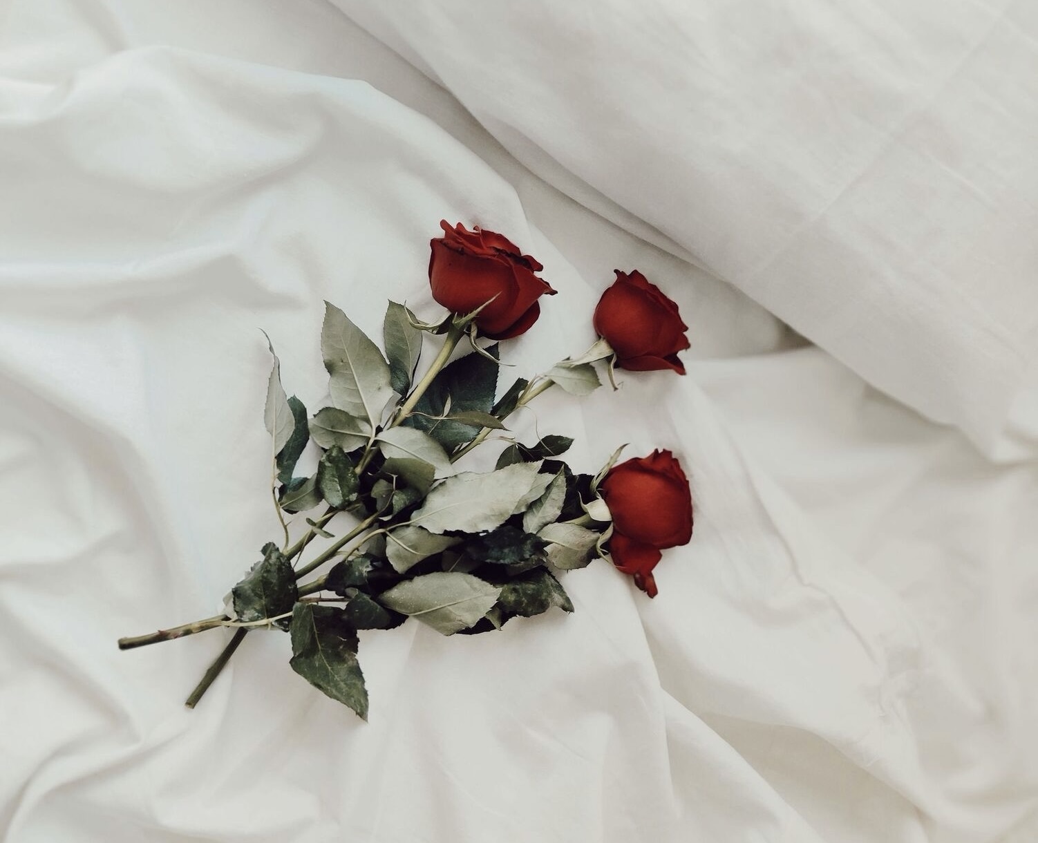 Image for 03.) The Romantic Escape