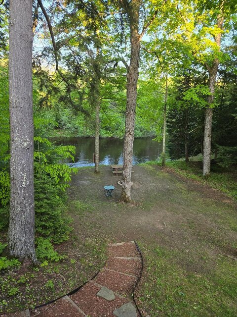 Image 3 for The Norwegian Woods Riverfront Cabin