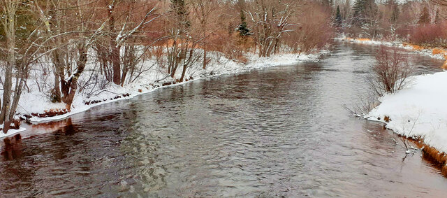 Image 20 for The Norwegian Woods Riverfront Cabin