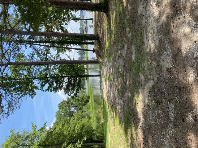 Image 1 for RV2 Landside Site 13