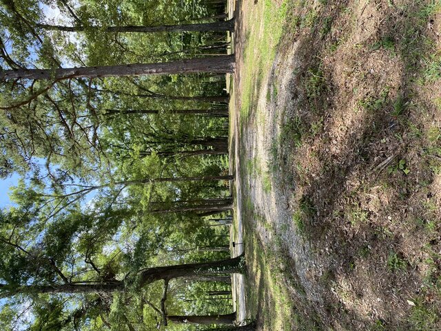 Image 2 for RV2 Landside Site 13