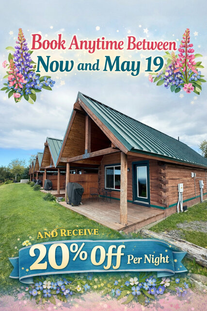 Image 1 for Spring Special