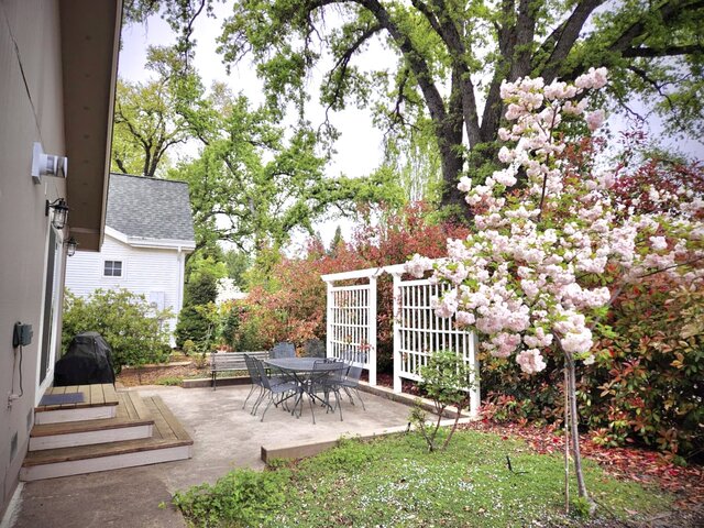 Image 17 for The Shamrock