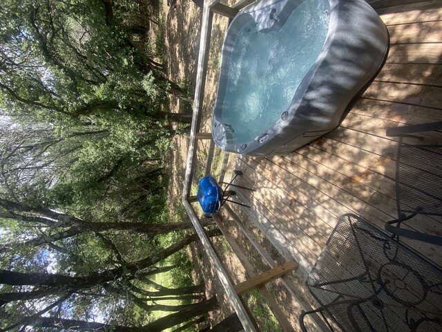 Image 16 for The Renegade