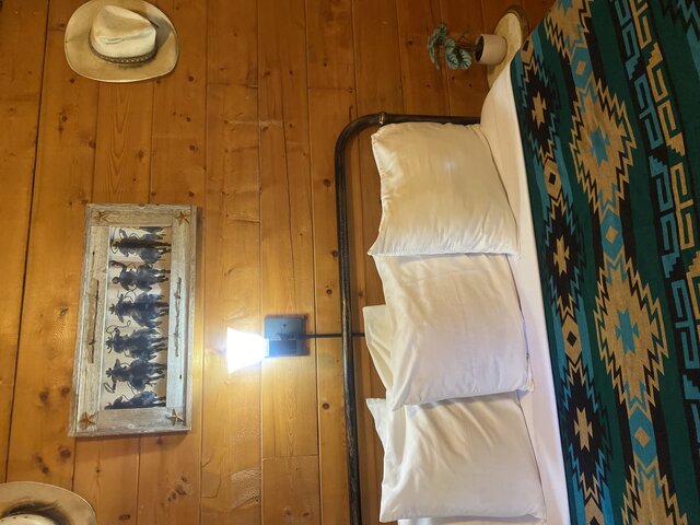 Image 9 for The Renegade