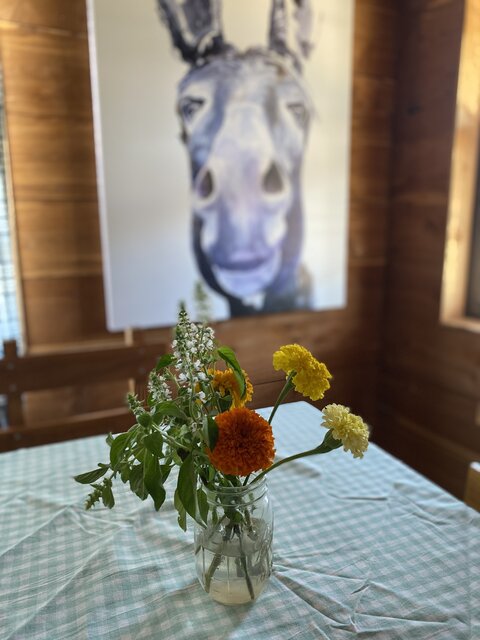 Image 10 for Lazy Jack Flophouse