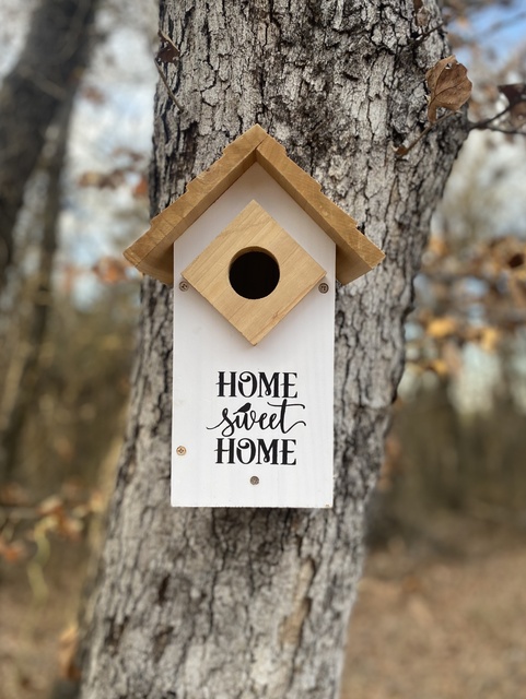 Image 14 for The Frontier Cabin