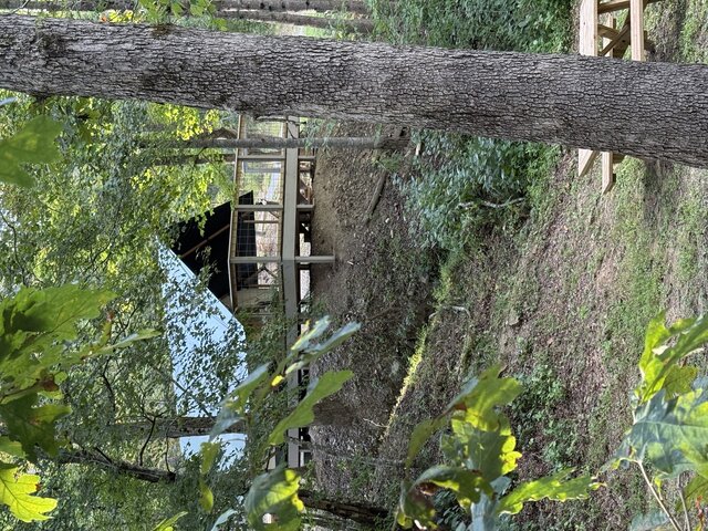 Image 2 for 39 - Water's Edge Glamping Tent