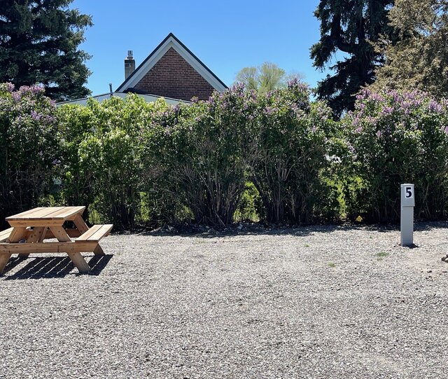 Image 1 for #05 Back In 20/30amp