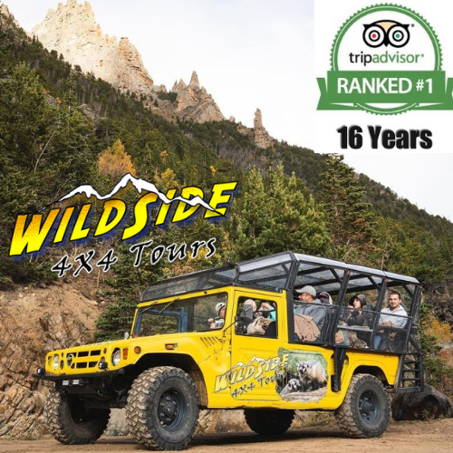 Image for Wildside 4x4 Tours