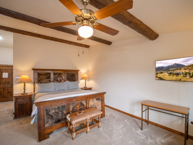 Image 1 for TRAIL BOSS