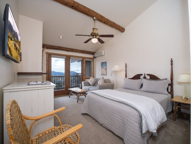 Image 1 for SNOWSHOE