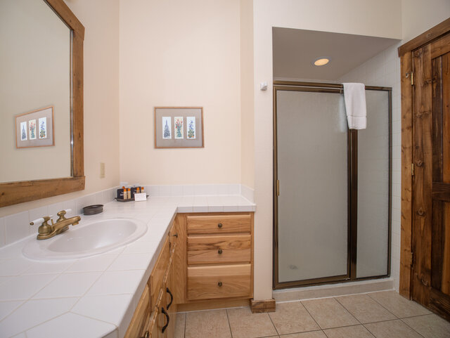 Image 6 for SNOWSHOE