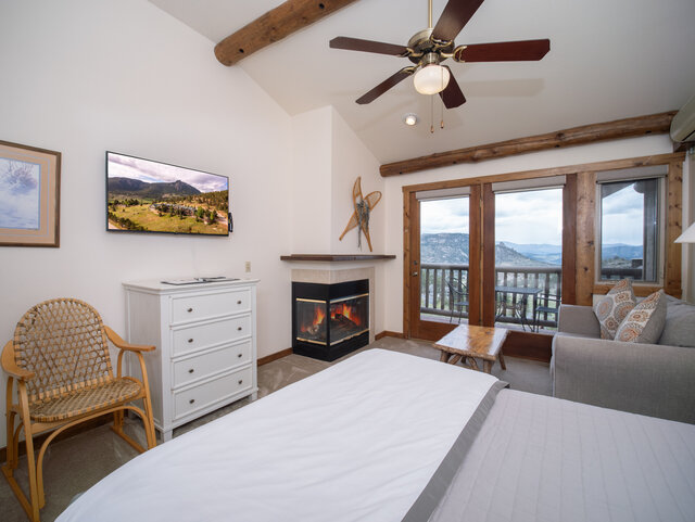 Image 2 for SNOWSHOE