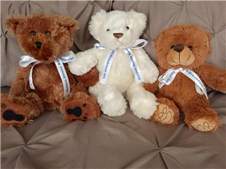 Image 1 for Bear-y Cute Take Me Home!