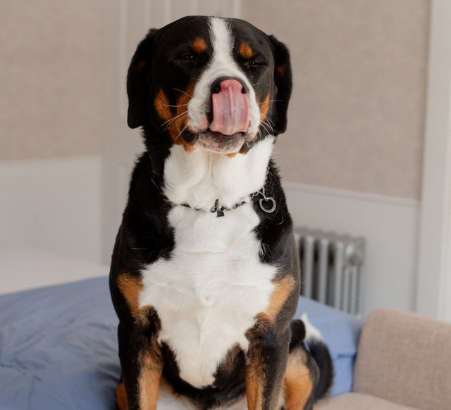 Image 3 for 10 Alice's Room