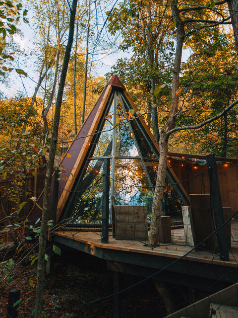 Image 2 for The Flox