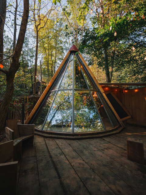 Image 6 for The Flox