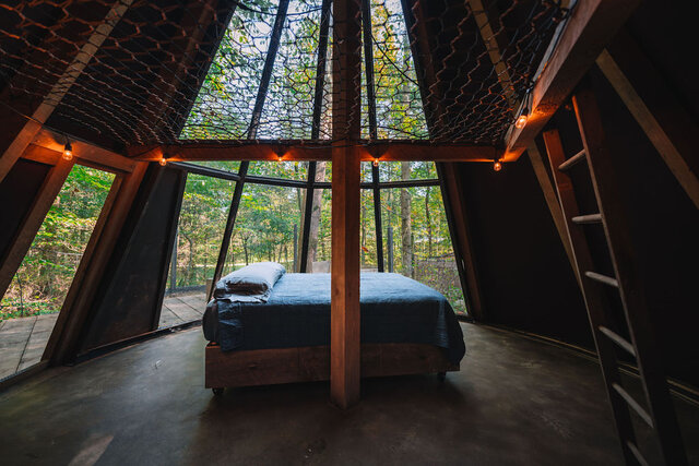 Image 5 for The Flox