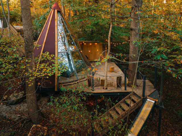 Image 1 for The Flox