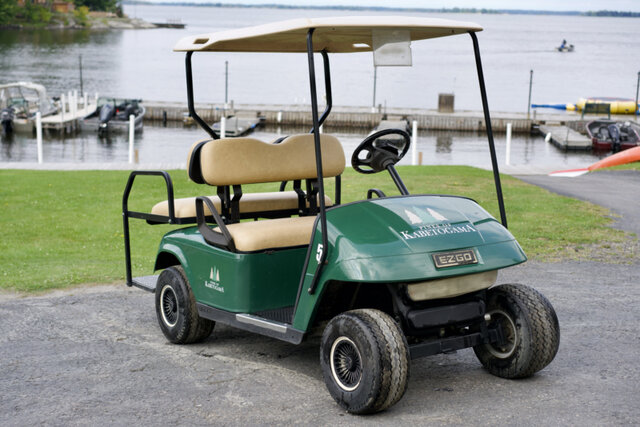 Image 1 for GOLF CART 5