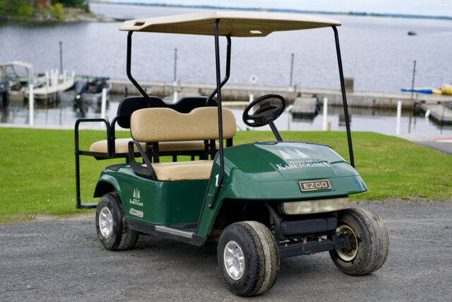 Image 1 for GOLF CART 1